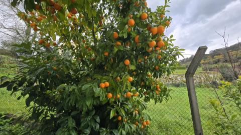 Exclusiva vivienda  Vistahermosa, Ourense - Ubicación inmejorable a 500 metros del centro