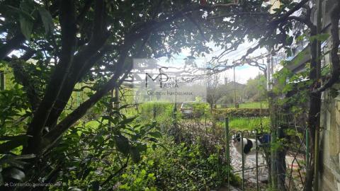 Vivir en un entorno natural único en Parada de Achas, A Cañiza.