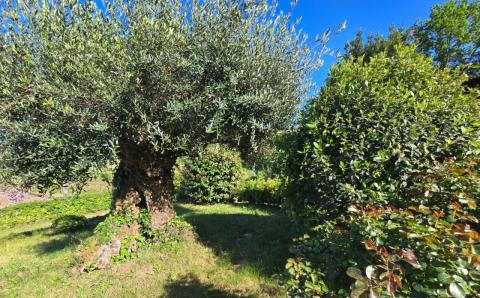 Casa de piedra gallega totalmente rehabilitada en Cristiñade, Ponteareas