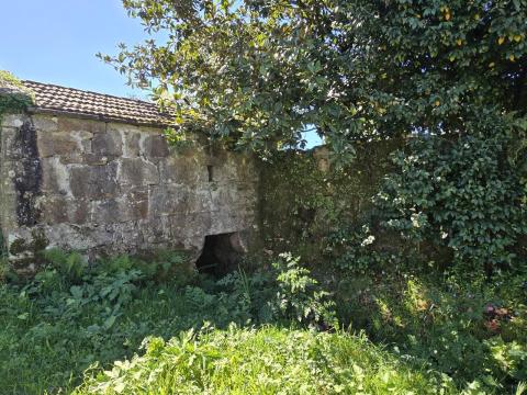 Finca con  casa,  molino y hórreo + bosque en Mondariz