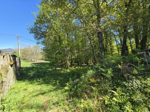 Finca con  casa,  molino y hórreo + bosque en Mondariz