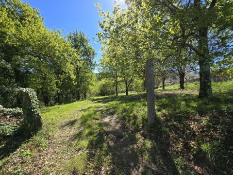 Finca con  casa,  molino y hórreo + bosque en Mondariz