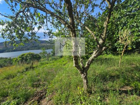 Casa  piedra con vistas privilegiadas al río Miño, en corazón vitivinícola de Castrelo de Miño