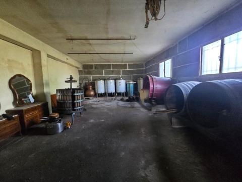 PROPIEDAD CON VIVIENDA INDEPENDIENTE, ESPACIO DE HOSTELERÍA REFORMADO, ALMACENES Y TERRENO EN ARBO