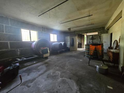 PROPIEDAD CON VIVIENDA INDEPENDIENTE, ESPACIO DE HOSTELERÍA REFORMADO, ALMACENES Y TERRENO EN ARBO
