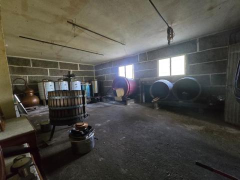 PROPIEDAD CON VIVIENDA INDEPENDIENTE, ESPACIO DE HOSTELERÍA REFORMADO, ALMACENES Y TERRENO EN ARBO