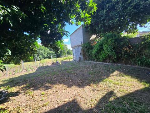 PROPIEDAD CON VIVIENDA INDEPENDIENTE, ESPACIO DE HOSTELERÍA REFORMADO, ALMACENES Y TERRENO EN ARBO