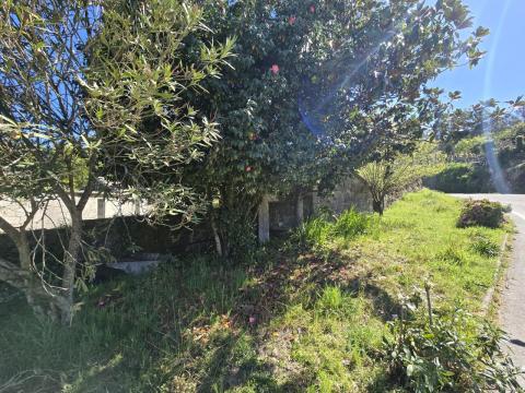Finca con  casa,  molino y hórreo + bosque en Mondariz