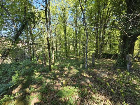 Finca con  casa,  molino y hórreo + bosque en Mondariz