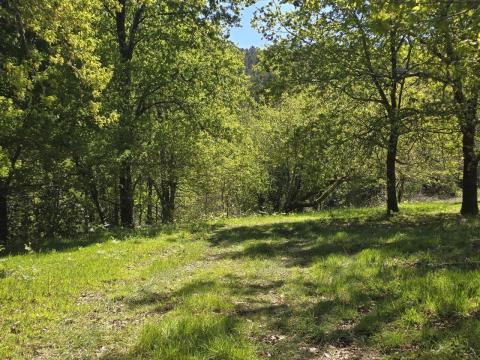 Finca con  casa,  molino y hórreo + bosque en Mondariz