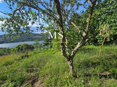 Casa  piedra con vistas privilegiadas al río Miño, en corazón vitivinícola de Castrelo de Miño