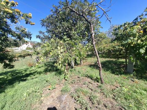 CASA EN VENTA GANADE, PONTEAREAS