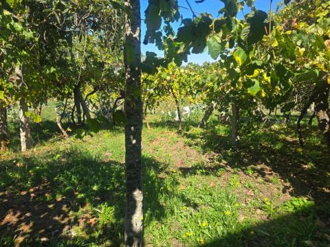 CASA EN VENTA GANADE, PONTEAREAS