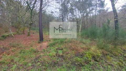 Parcela en lugar Palleiros, Tenorio, Cotobade. Pontevedra