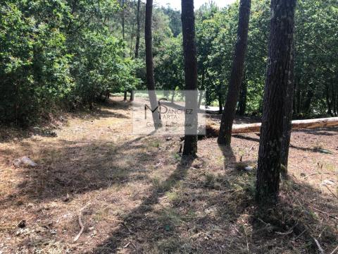 Parcela en lugar Palleiros, Tenorio, Cotobade. Pontevedra