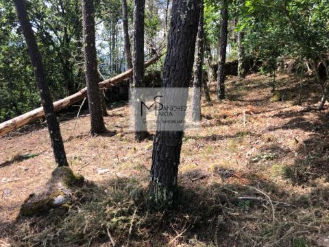 Parcela en lugar Palleiros, Tenorio, Cotobade. Pontevedra