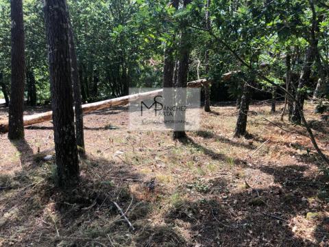 Parcela en lugar Palleiros, Tenorio, Cotobade. Pontevedra