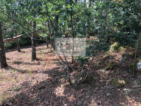 Parcela en lugar Palleiros, Tenorio, Cotobade. Pontevedra