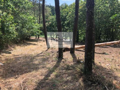 Parcela en lugar Palleiros, Tenorio, Cotobade. Pontevedra