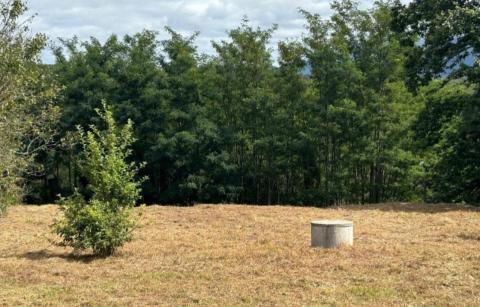 ¡Oportunidad Sanguiñeda, Mos! Solar edificable  vivienda unifamiliar.