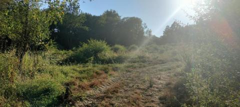 ¡Oportunidad Sanguiñeda, Mos! Solar edificable  vivienda unifamiliar.