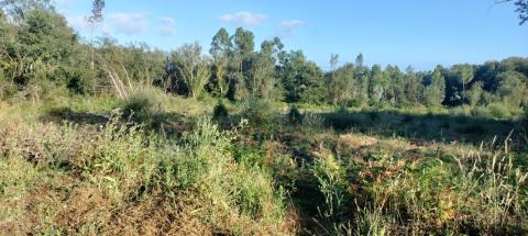 ¡Oportunidad Sanguiñeda, Mos! Solar edificable  vivienda unifamiliar.