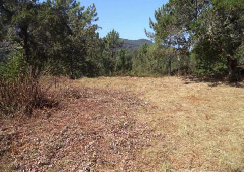 ¡Oportunidad en Monteiro, Gondomar! Solar edificable  vivienda unifamiliar o  proyecto turístico.