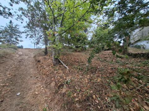 ¡Oportunidad en Monteiro, Gondomar! Solar edificable  vivienda unifamiliar o  proyecto turístico.
