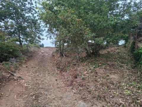 ¡Oportunidad en Monteiro, Gondomar! Solar edificable  vivienda unifamiliar o  proyecto turístico.