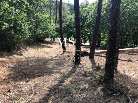 Parcela en lugar Palleiros, Tenorio, Cotobade. Pontevedra